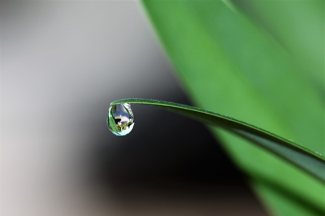 那些美好的谷雨文案短句