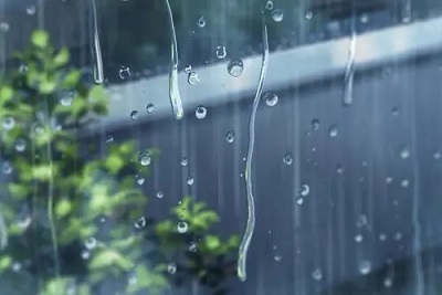 雨水暖心祝福语 雨水节气问候句子