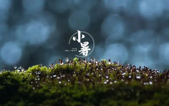 100个关于小暑的文案精选