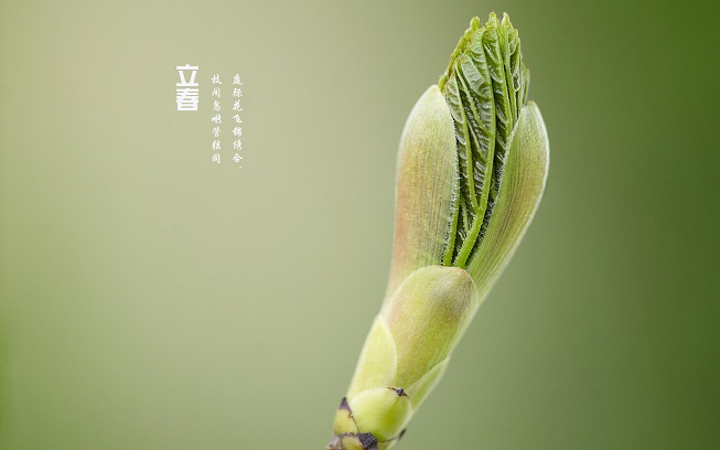 立春发朋友圈的文案短句