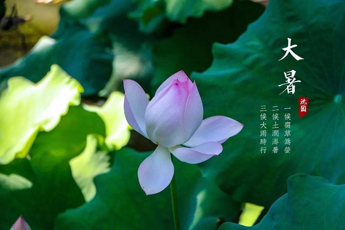 100句关于大暑的文案合集