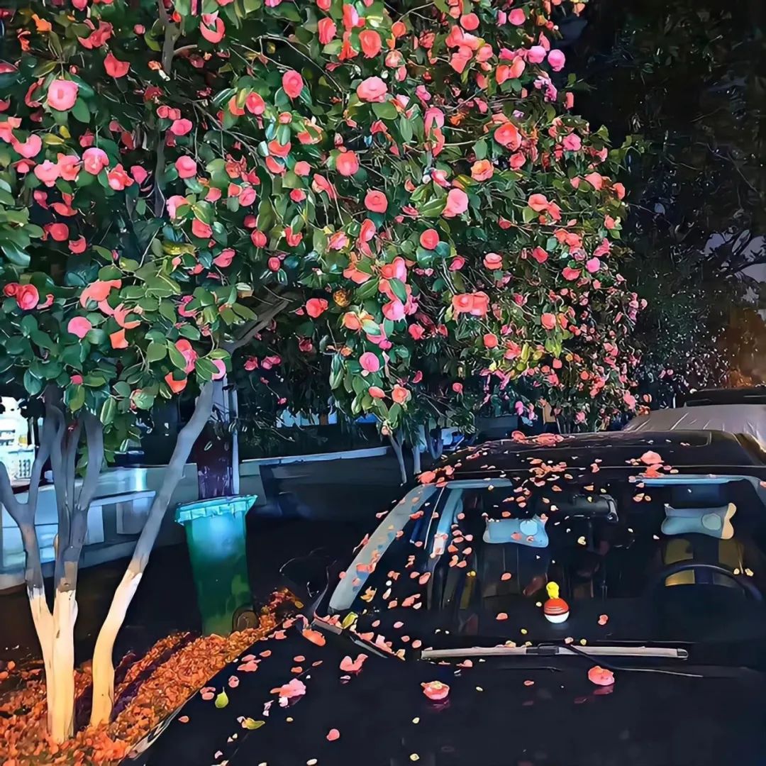 适合清明节气时发的文案