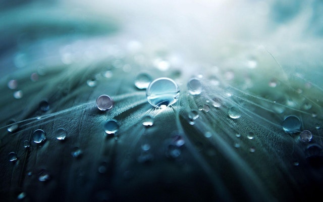 100句值得收藏的谷雨文案