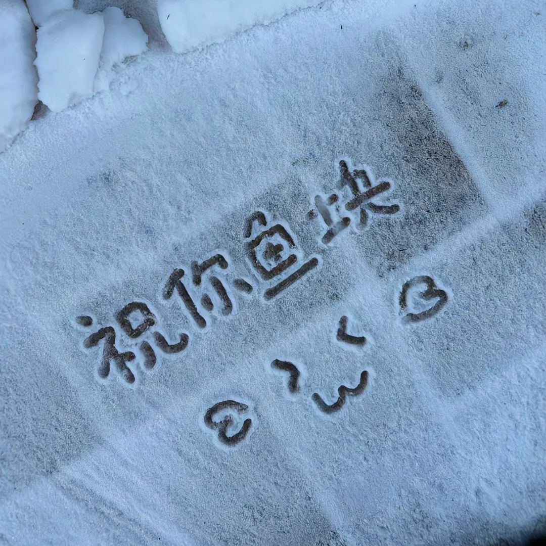 高级唯美的小雪节气文案 高级唯美的小雪节气文案