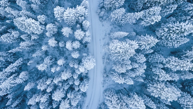 大雪节气祝福语录大全