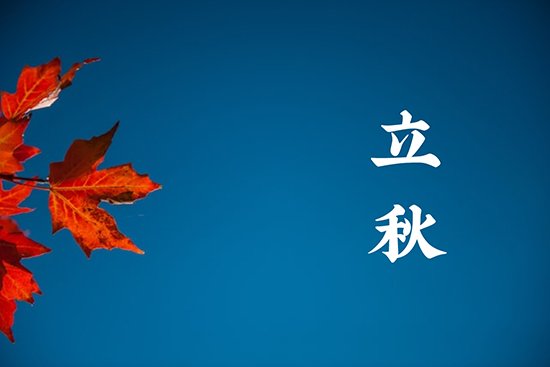 用在海报上的立秋借势文案