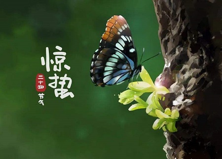 很美的惊蛰文案