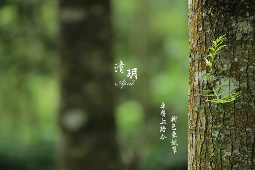 非常走心的清明节文案