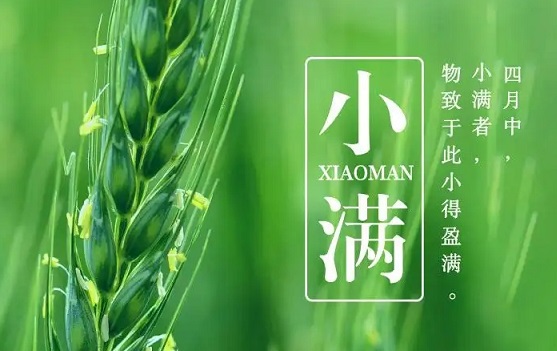 那些给你灵感的小满文案