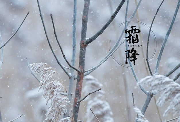 100句关于霜降的文案精选