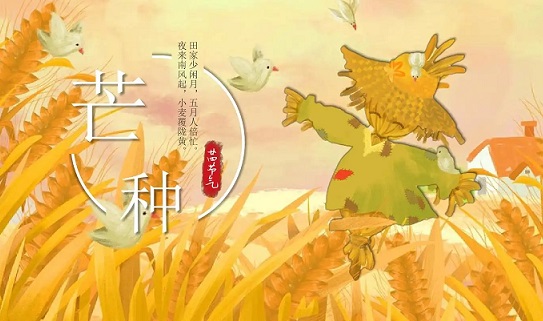 文艺唯美的芒种句子