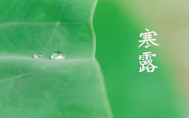 寒露节气海报借势文案短句