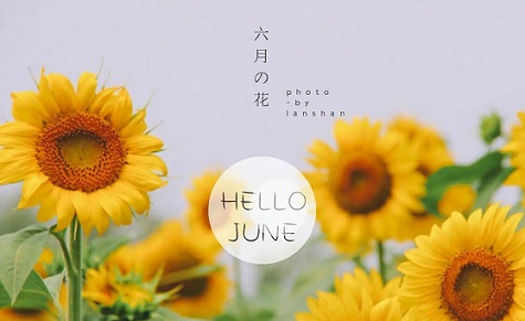 迎接六月的文案短句子