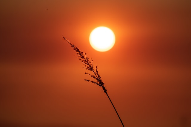 那些干净治愈的太阳文案 那些干净治愈的太阳文案