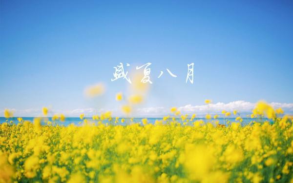 关于八月你好的文案合集