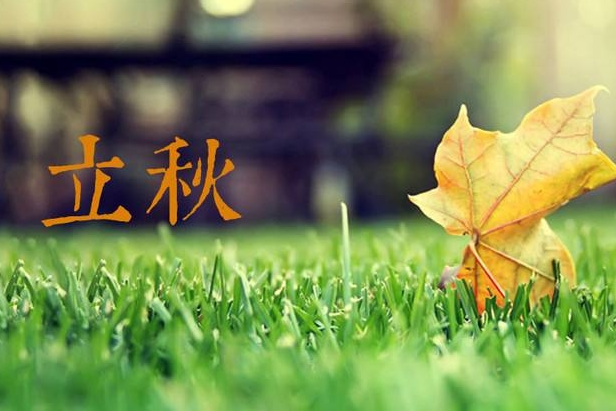 关于立秋的经典诗句