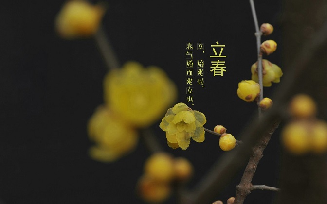 100句关于立春的文案精选