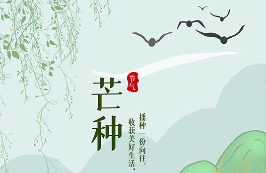 关于芒种的节气文案