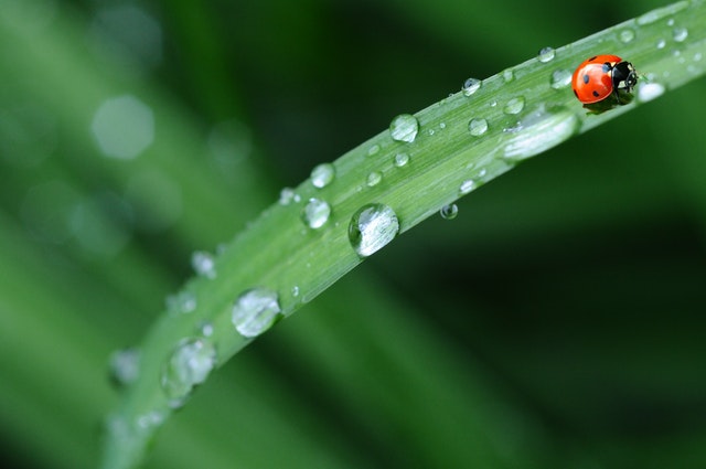 30句简单的谷雨文案