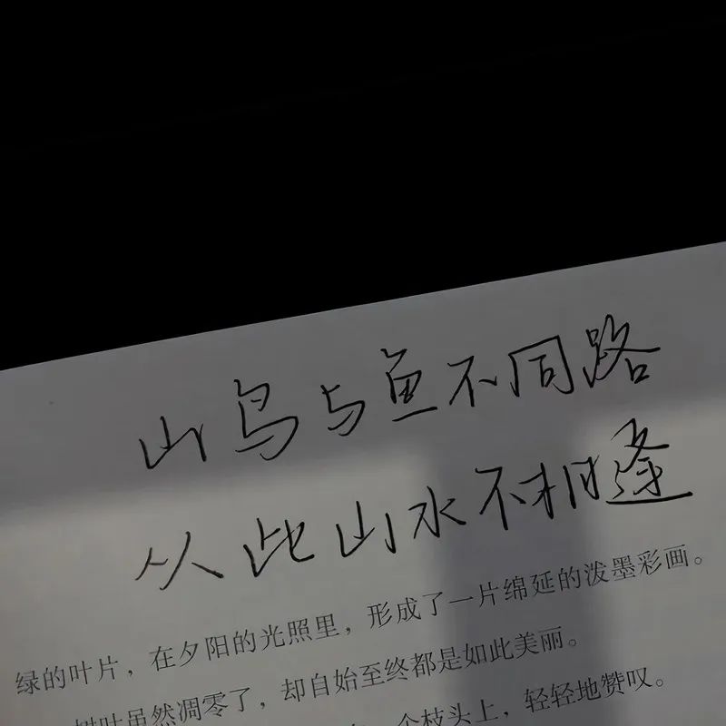 让人意难平的退场文案，后劲很大