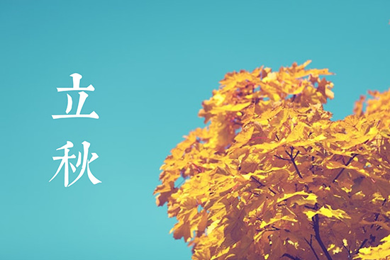 100句关于立秋的文案合集