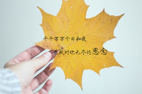 100句表达思念的诗词名句