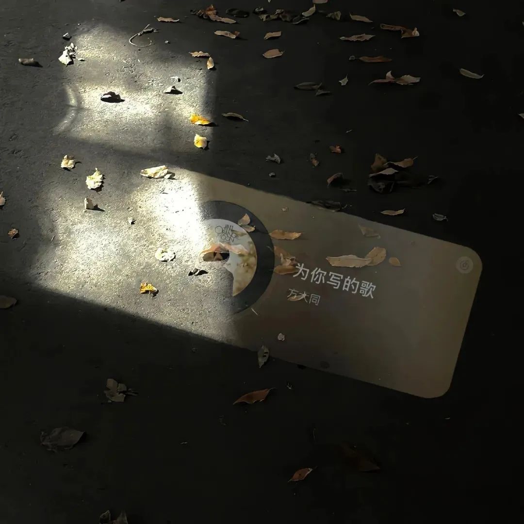 那些绝美的清冷感文案