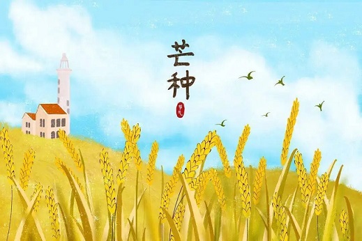 非常精彩的芒种文案合集