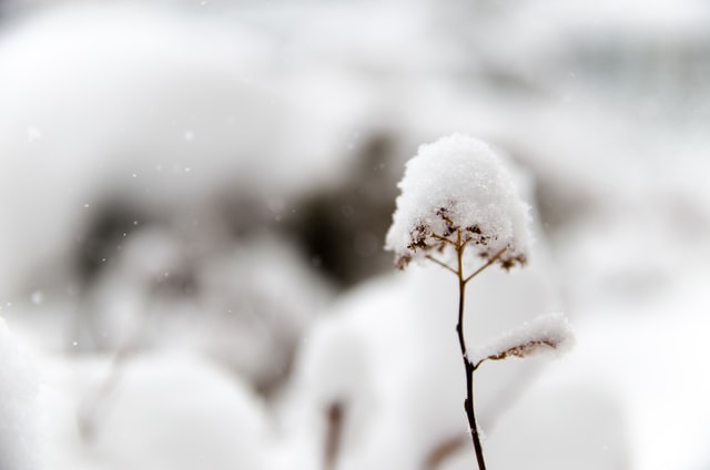 下雪天温暖的文案句子
